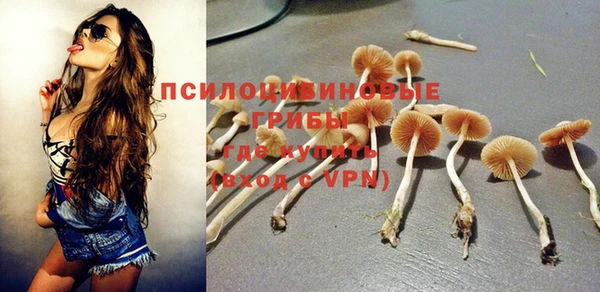 apvp Шарыпово