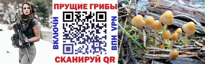 Галлюциногенные грибы мицелий  Иваново 