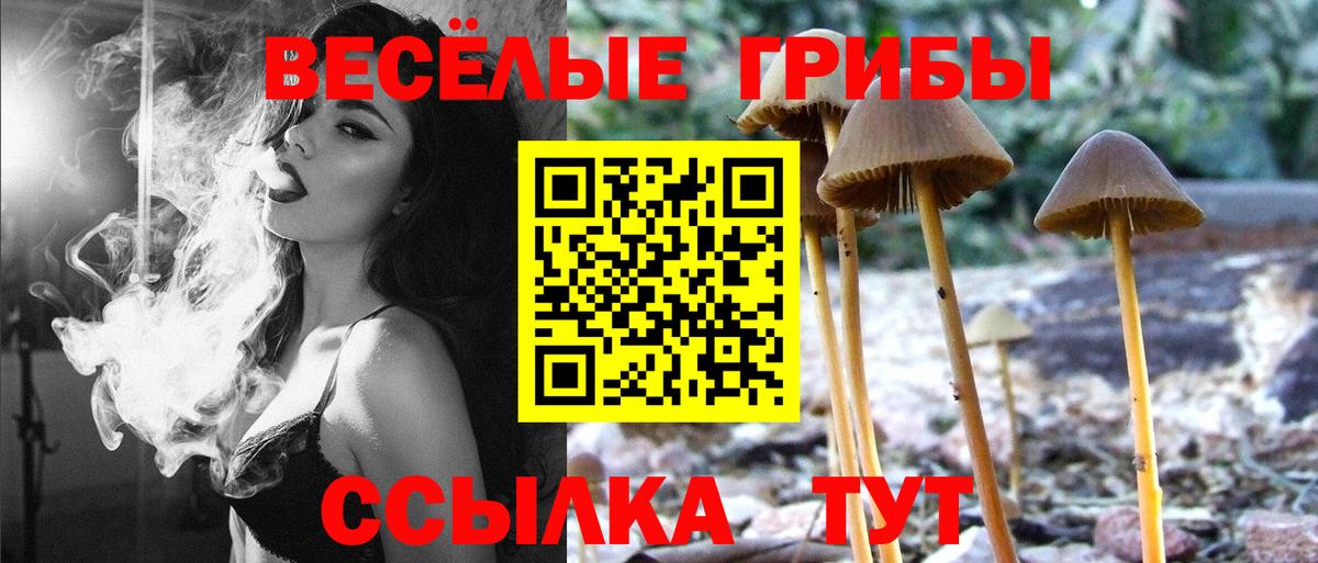 Иваново  Галлюциногенные грибы Magic Shrooms  купить   Вход с VPN 