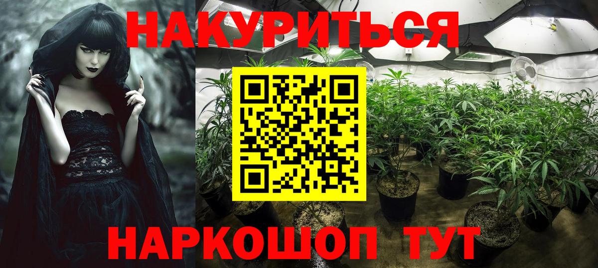 Канабис AK-47  Шишки марихуана Ganja  Вход с VPN  Иваново  Марихуана Ganja 